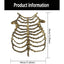 Raven Gothic Skeleton Rib-Cage Costume Top