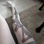 Trigger Graphic Sheer Pantyhose