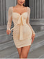 Delphine Mesh Tie-Front Long-Sleeve Mini Dress