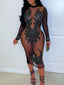 Leonie Sheer-Mesh Sequin Bodycon Midi Dress