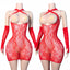 Fiora Floral Fishnet Mini Dress Lingerie