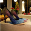 Viorica Ombré Rhinestone Pointed-Toe Stiletto Pumps