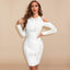 Long Sleeve HL Bandage Dress Bodycon Hollow Out Mesh