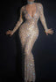 Sparkly Silver Crystals Long Sleeves stretch long dress