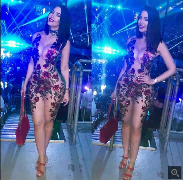 Iseult Sheer Mesh Floral Sequin Plunge Bodycon Mini Dress