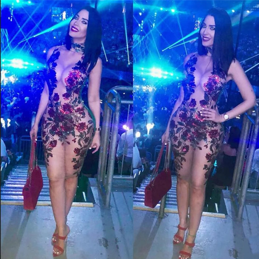 Iseult Sheer Mesh Floral Sequin Plunge Bodycon Mini Dress