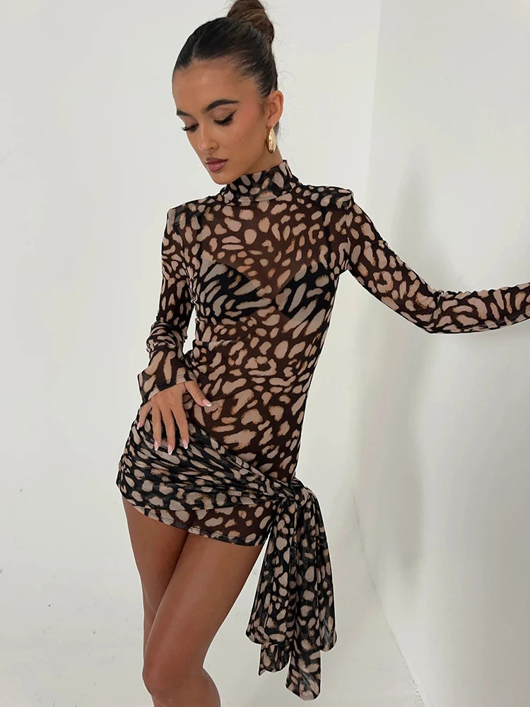 Mireille Sheer Leopard Long-Sleeve Mini Dress