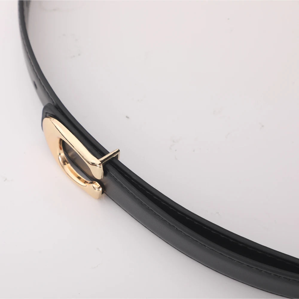 Celine Reversible C-Buckle Belt
