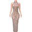 Domitilla Silver Crystal Sheer Mesh Mock-Neck Backless Maxi Gown