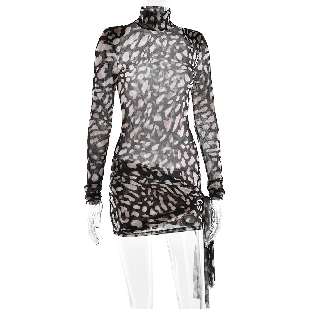 Mireille Sheer Leopard Long-Sleeve Mini Dress