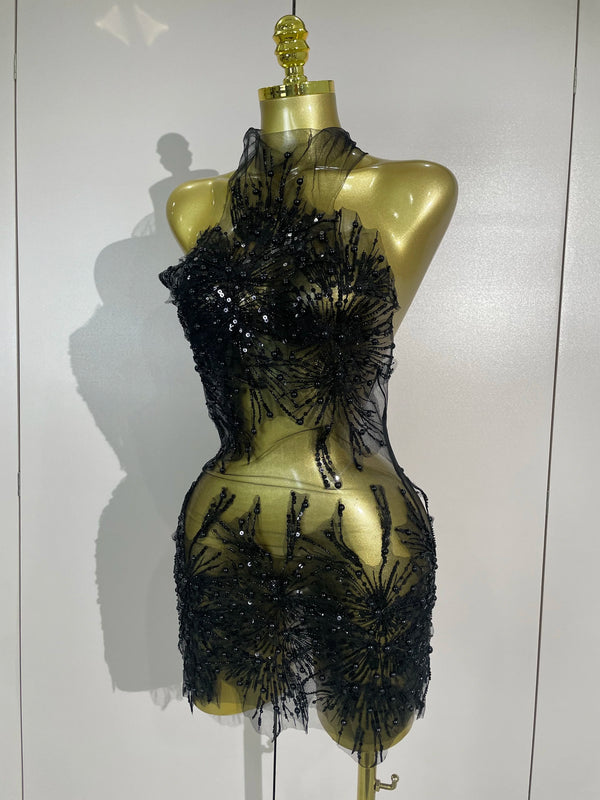 Zahara Pearl Appliqué Sheer Mesh Mini Dress