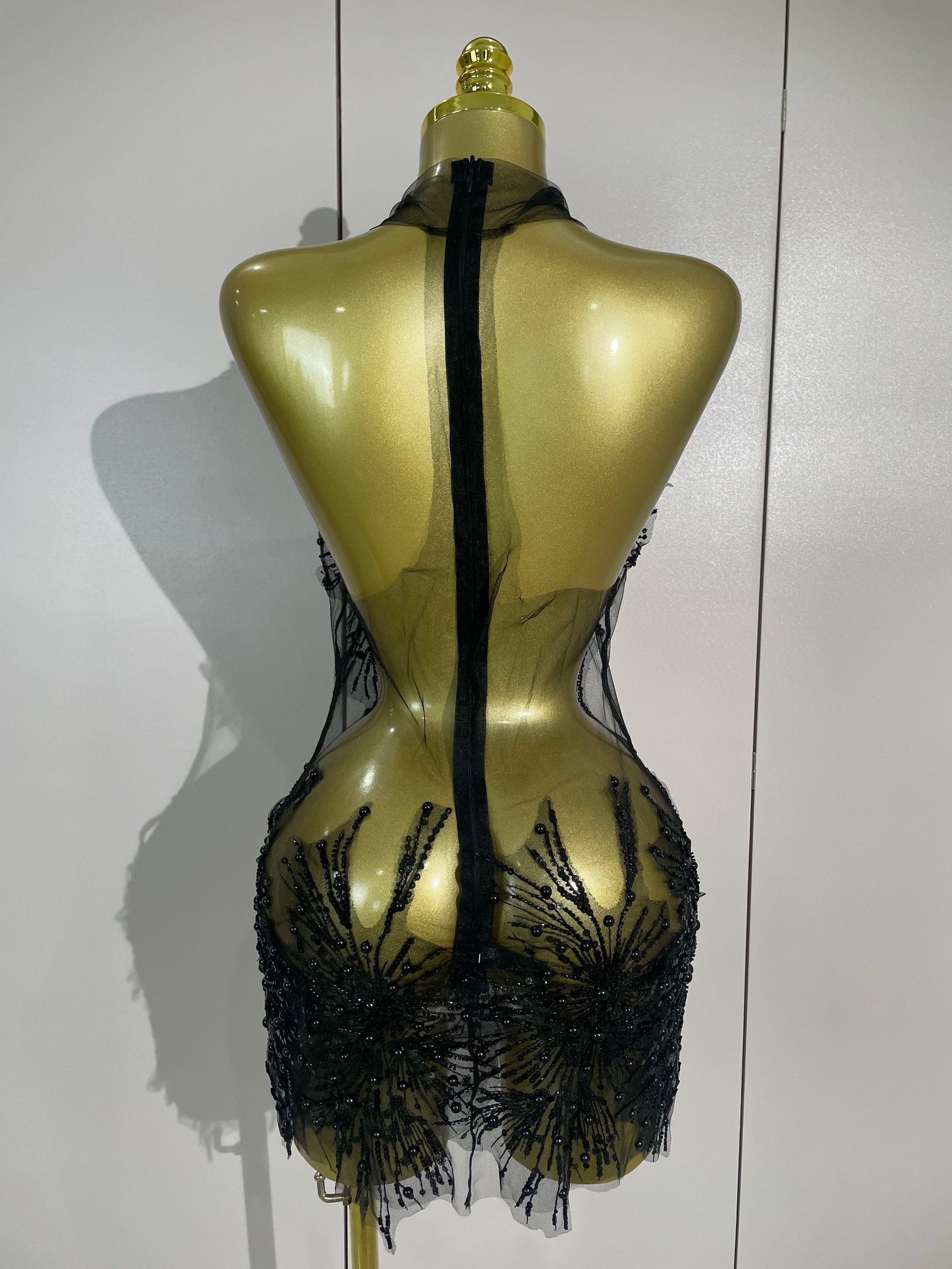 Zahara Pearl Appliqué Sheer Mesh Mini Dress