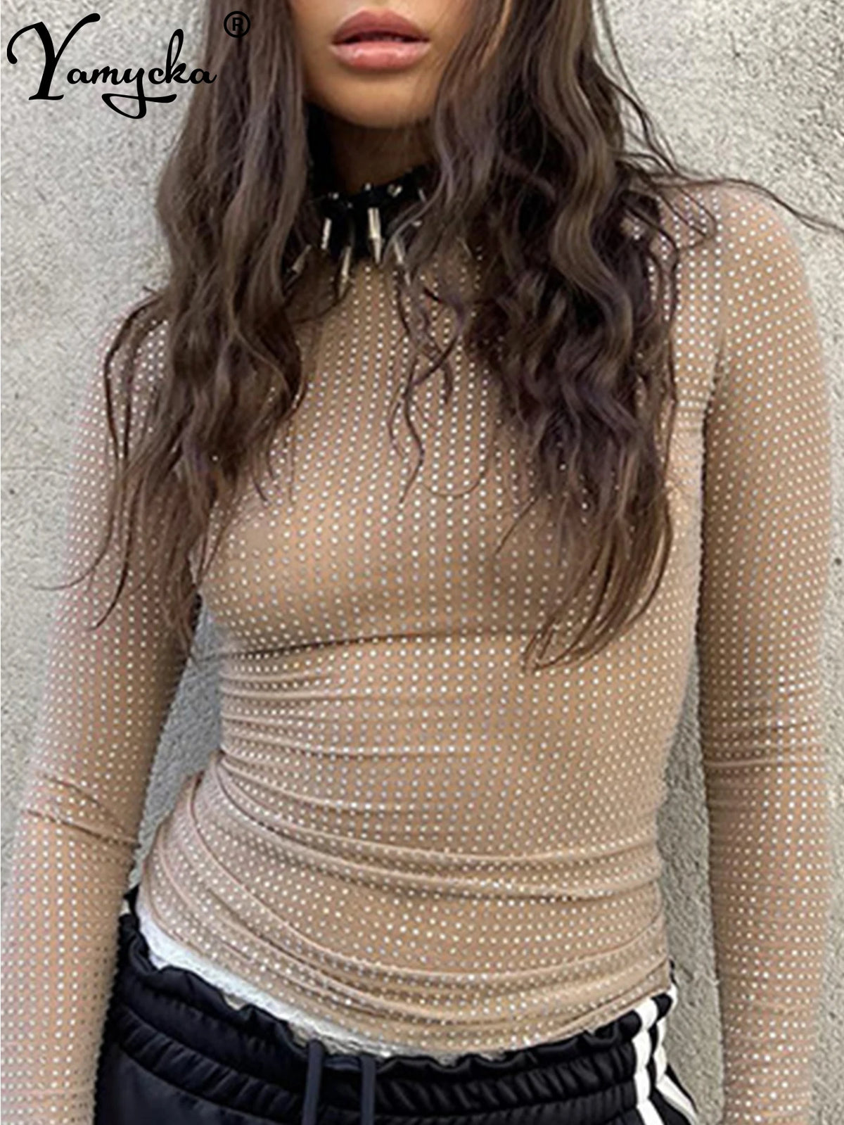 Wilmetta Sheer Shimmer Mesh Long-Sleeve Crop Top One-piece