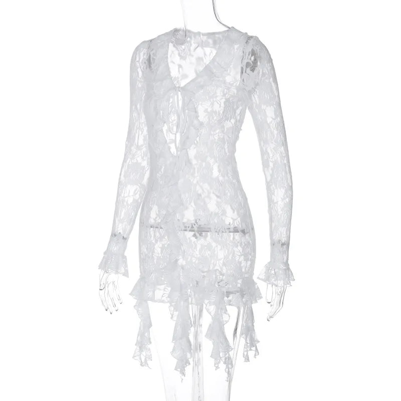 Angelique Sheer Lace Tie-Front Long-Sleeve Mini Dress