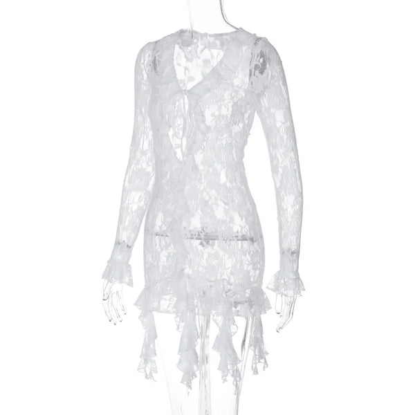 Angelique Sheer Lace Tie-Front Long-Sleeve Mini Dress
