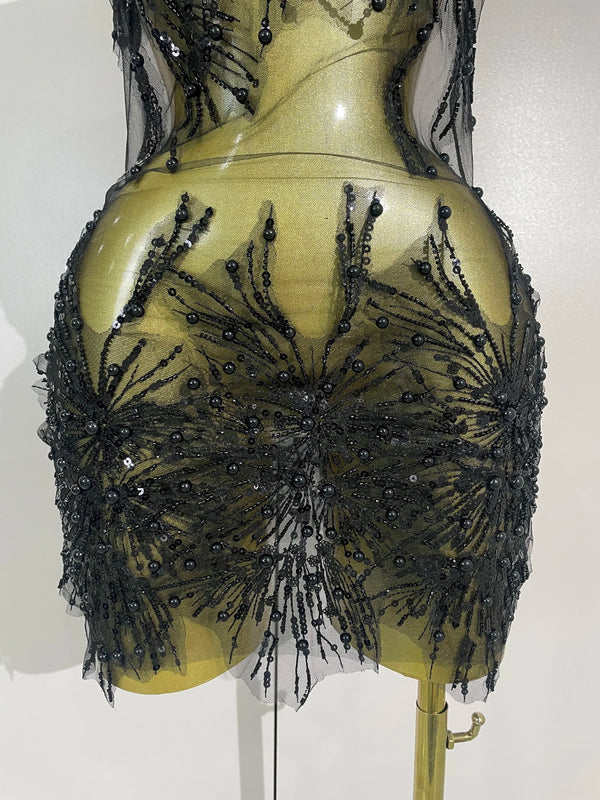 Zahara Pearl Appliqué Sheer Mesh Mini Dress