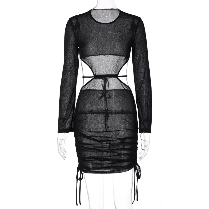 Maven Sheer-Mesh Ruched Long-Sleeve Mini Dress