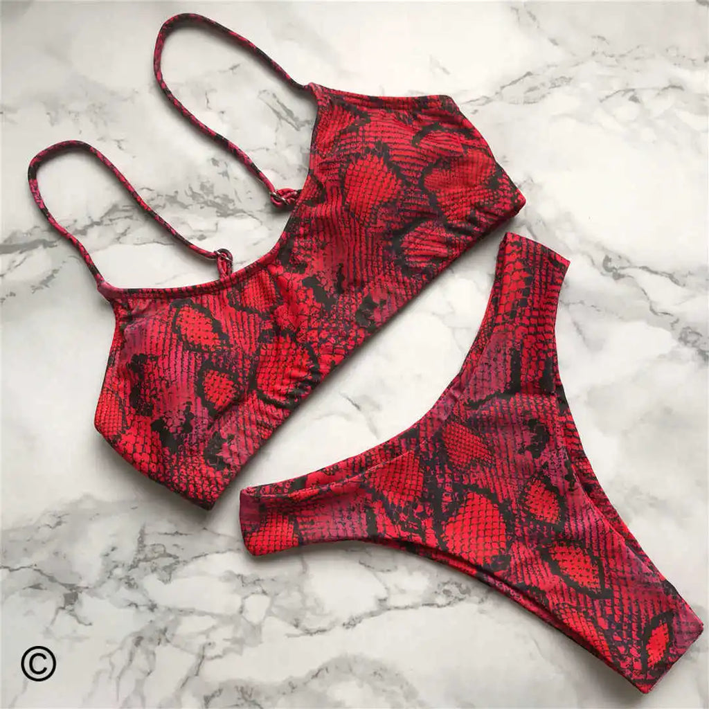 Jacinta Animal Print Bikini Two-piece