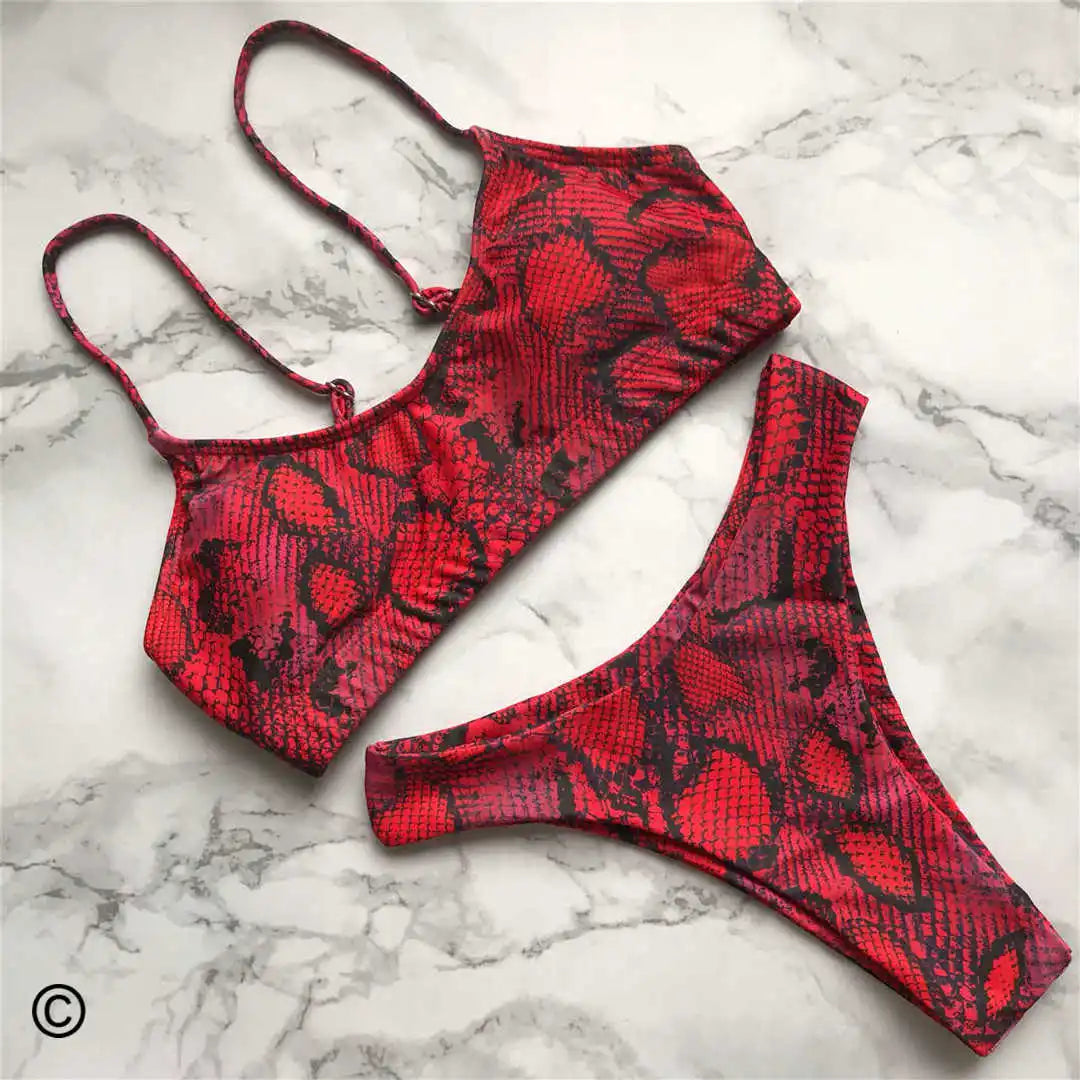 Jacinta Animal Print Bikini Two-piece