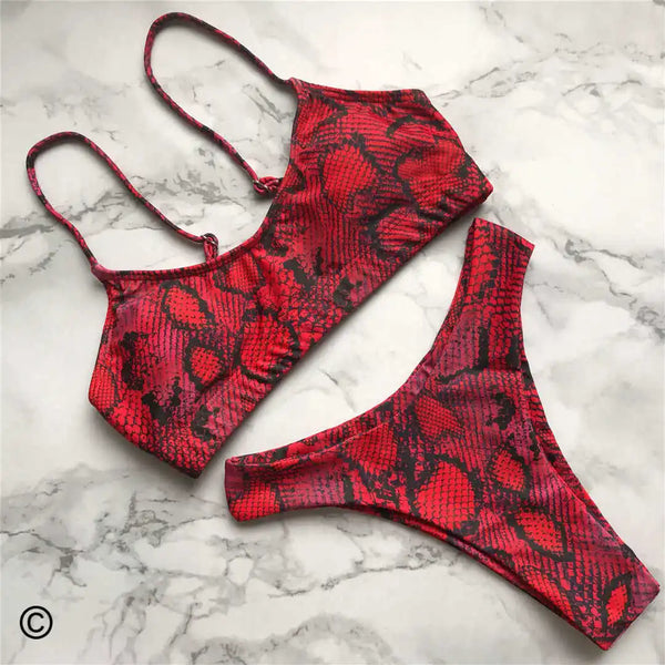 Jacinta Animal Print Bikini Two-piece