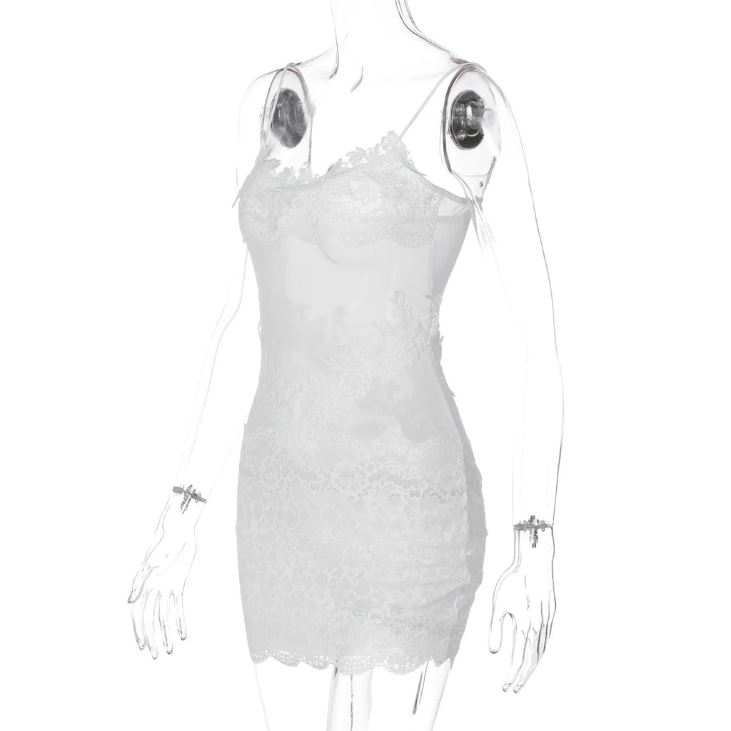 Verbena Sheer Lace Appliqué Mesh Cami Bodycon Mini Dress