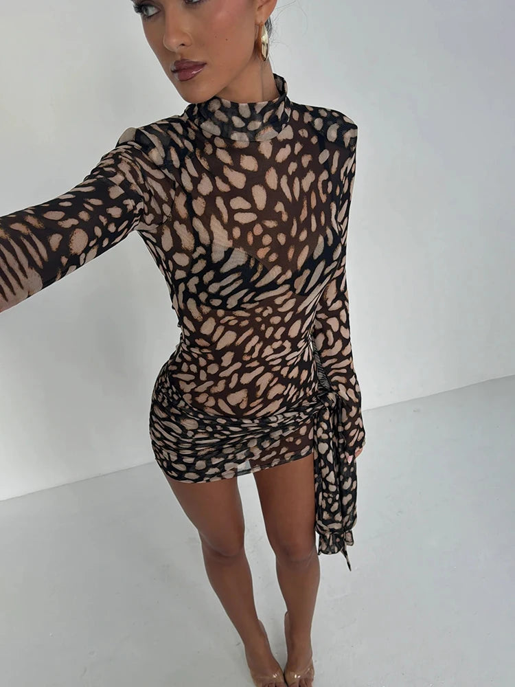 Mireille Sheer Leopard Long-Sleeve Mini Dress