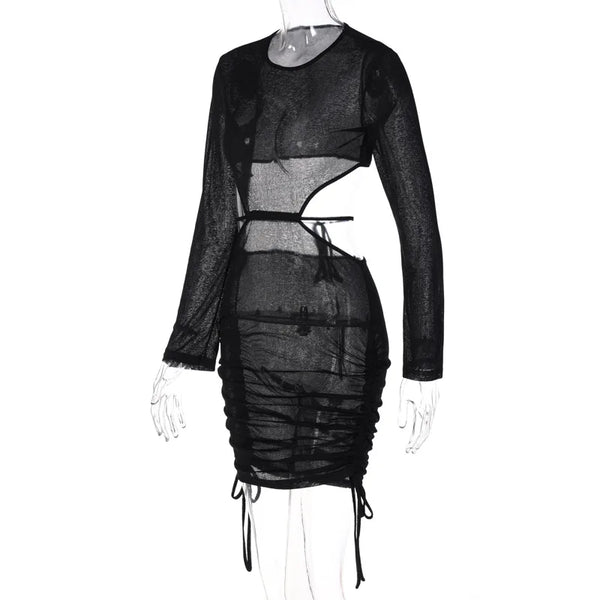 Maven Sheer-Mesh Ruched Long-Sleeve Mini Dress