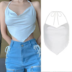 Bella's Vintage Mesh Crop Top