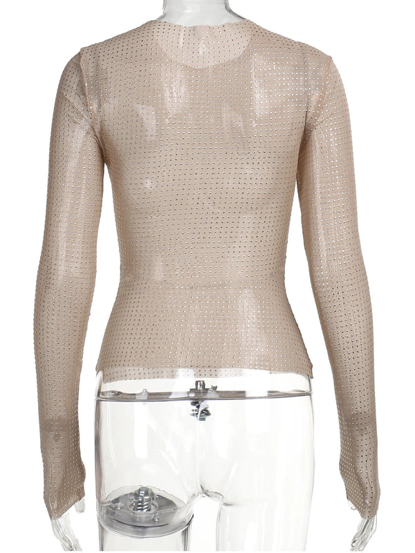 Wilmetta Sheer Shimmer Mesh Long-Sleeve Crop Top One-piece