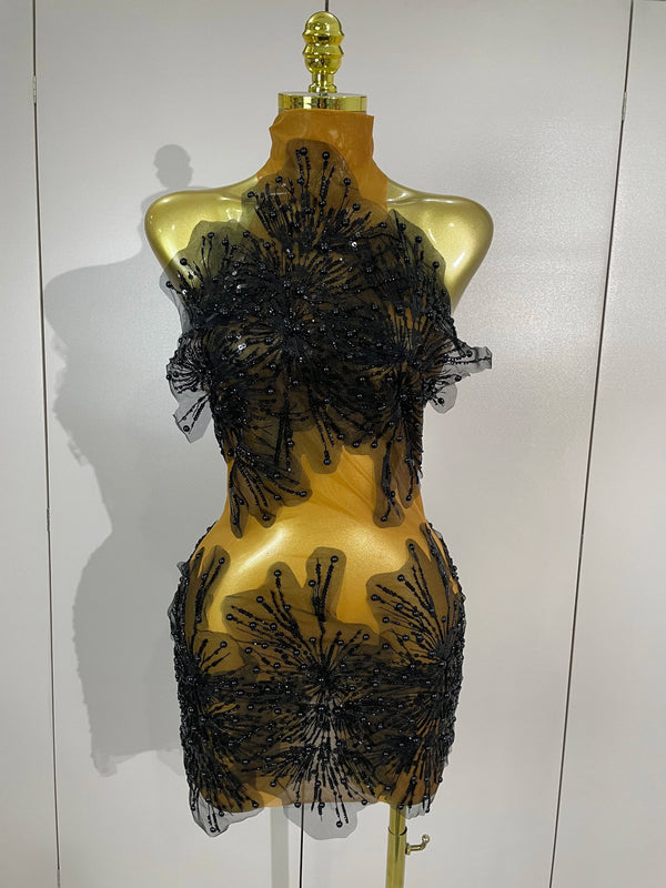 Zahara Pearl Appliqué Sheer Mesh Mini Dress