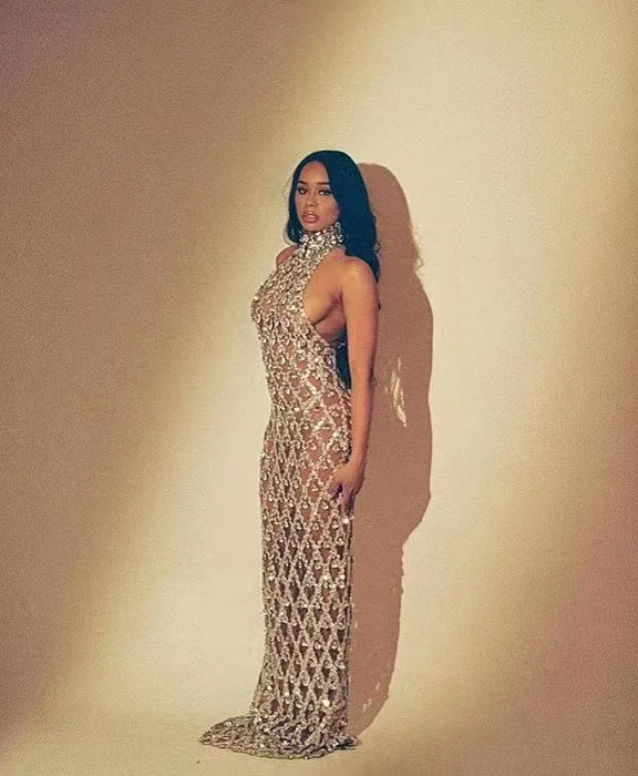 Solène Silver Crystal Mesh Performance Maxi Gown