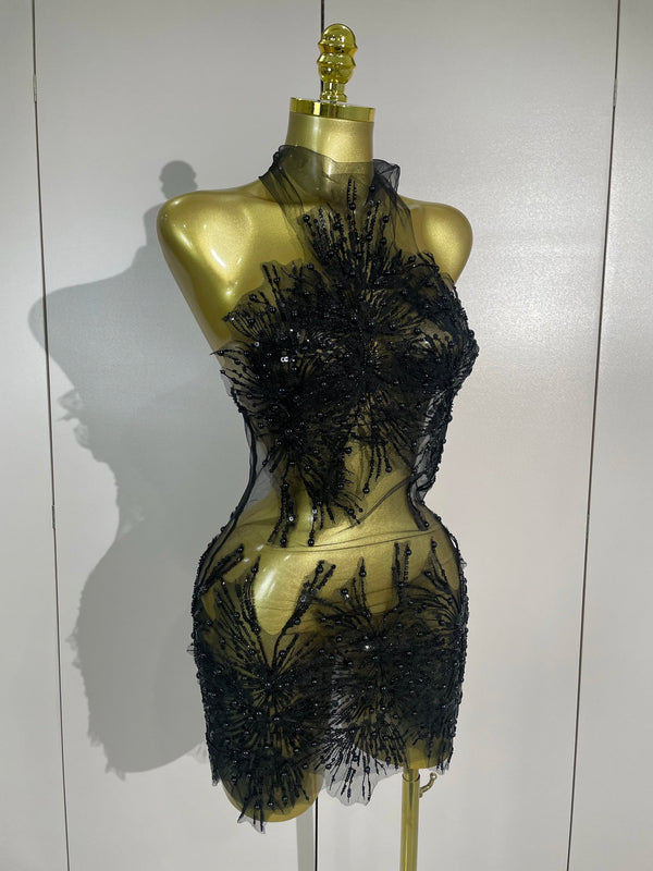 Zahara Pearl Appliqué Sheer Mesh Mini Dress