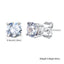 Sienna Stainless-Steel Zircon Earring Collection