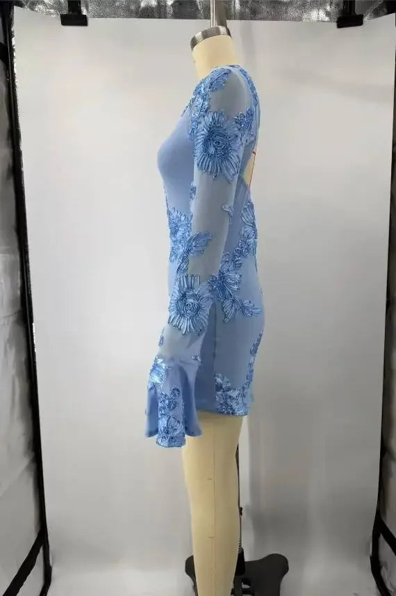 Isla Embroidered Long-Sleeve Mini Dress