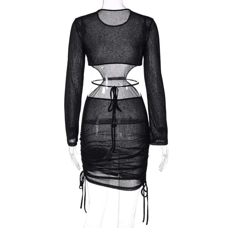 Maven Sheer-Mesh Ruched Long-Sleeve Mini Dress
