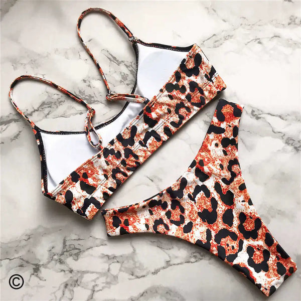 Jacinta Animal Print Bikini Two-piece