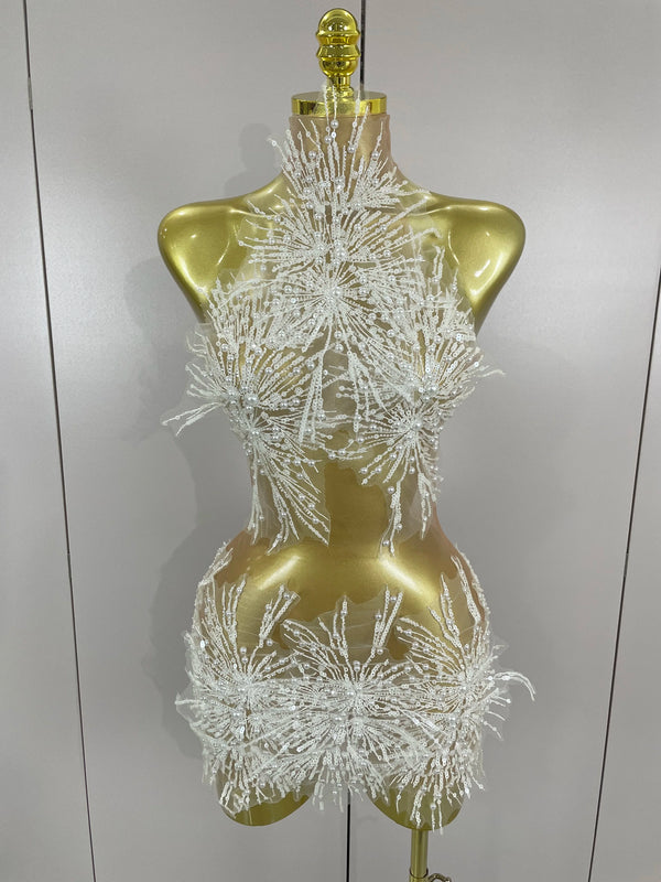 Zahara Pearl Appliqué Sheer Mesh Mini Dress
