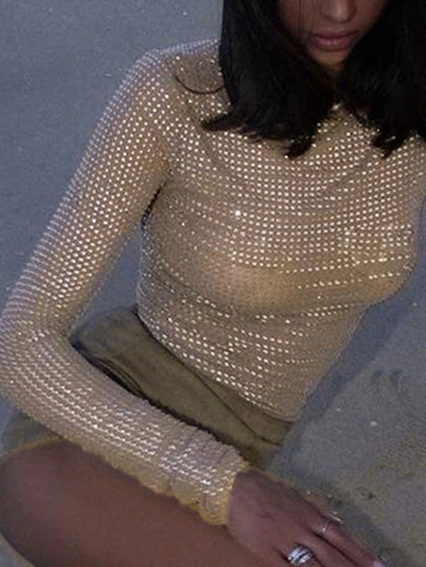 Wilmetta Sheer Shimmer Mesh Long-Sleeve Crop Top One-piece
