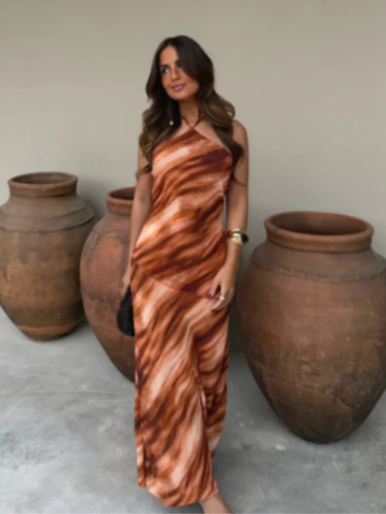Catalina Printed Backless Halter Maxi Dress