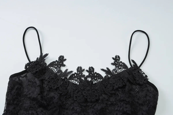 Verbena Sheer Lace Appliqué Mesh Cami Bodycon Mini Dress