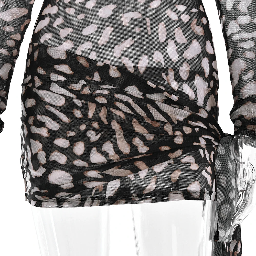 Mireille Sheer Leopard Long-Sleeve Mini Dress