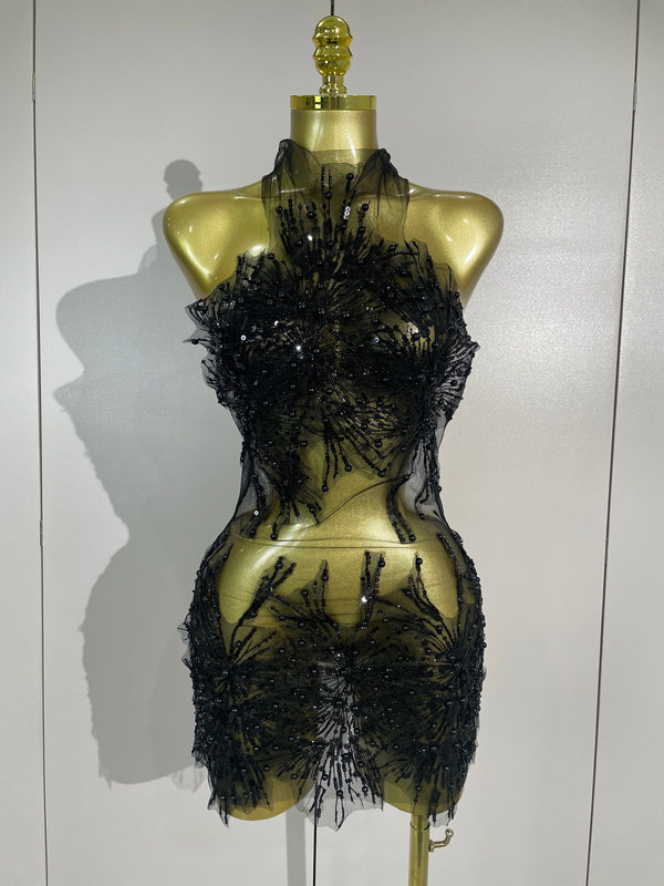 Zahara Pearl Appliqué Sheer Mesh Mini Dress