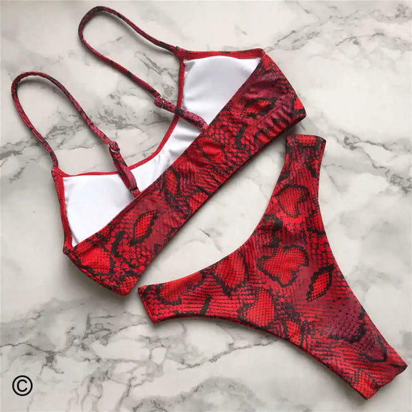 Jacinta Animal Print Bikini Two-piece