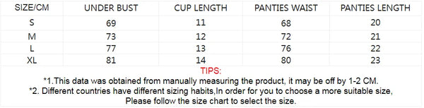 Zelinda Heart Embroidered Sheer Mesh Strappy Underwire Bra & Tie Thong Lingerie Two-piece