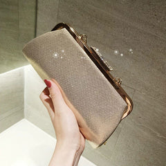 Diamond Clutch Bling Day Gold Purse Handbag