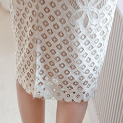 Han Queen Elegant Sexy Lace Pencil Bodycon Dress
