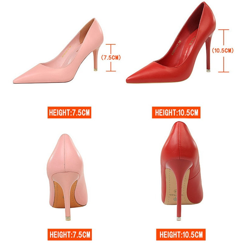 Brigitte Colorblock Pointed Stiletto Pumps