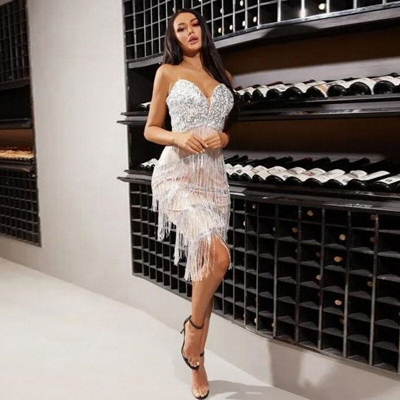 Tassel Latin Dresses for Women Tango Salsa Gogo Rumba Dance Performance Costume Party Dancer Singer Fringe Tassel silver Dress