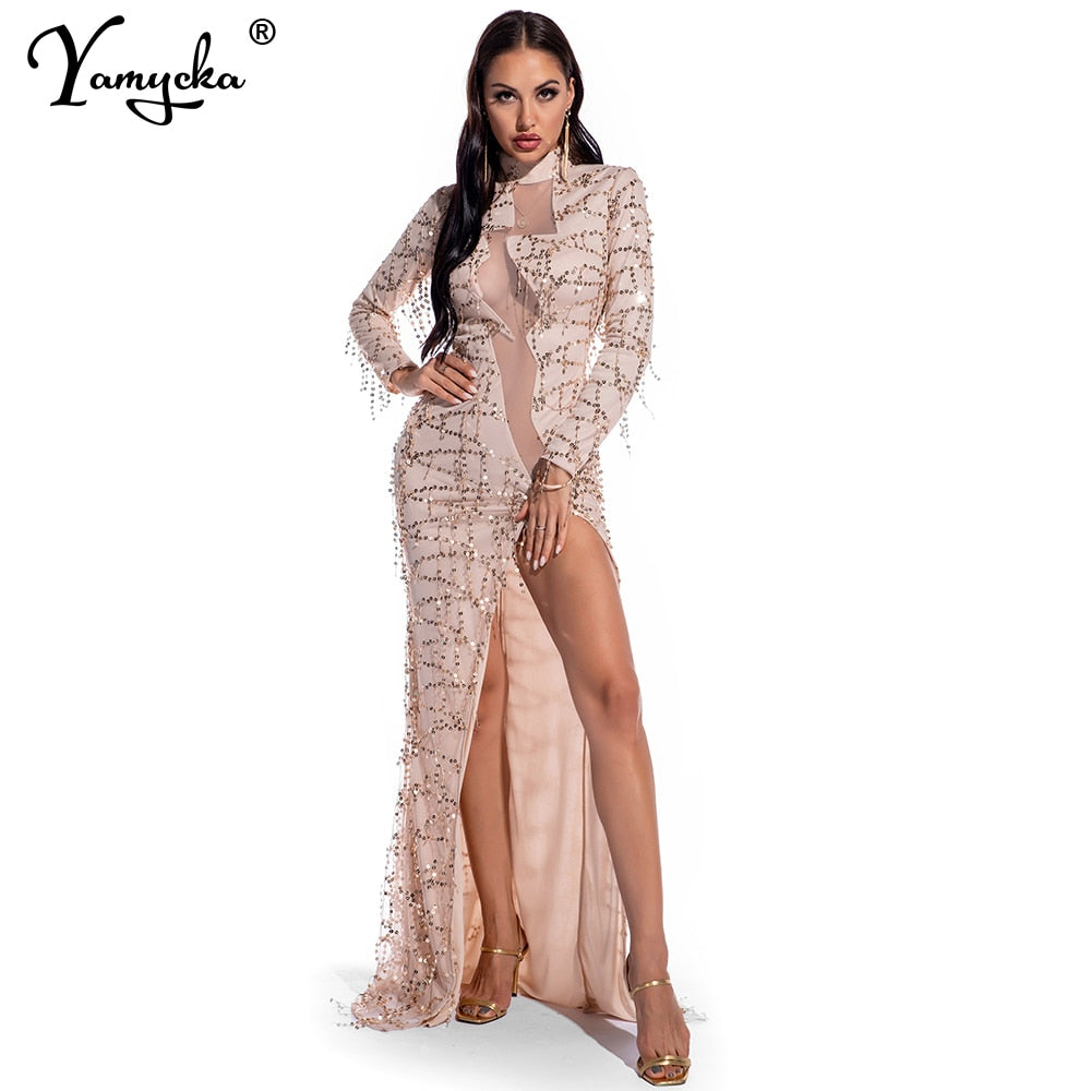 Evadne Sheer Sequin Turtleneck Maxi Dress
