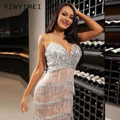 Tassel Latin Dresses for Women Tango Salsa Gogo Rumba Dance Performance Costume Party Dancer Singer Fringe Tassel silver Dress